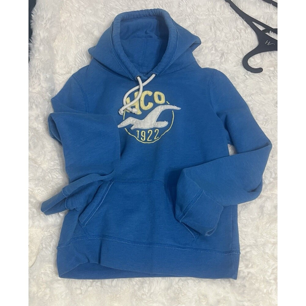 Hollister Icon Seagull Pullover Blue Hoodie Sz Large - Picture 3 of 11